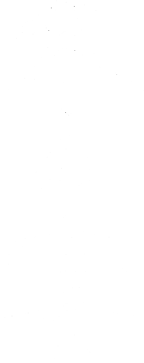 冬の宴
