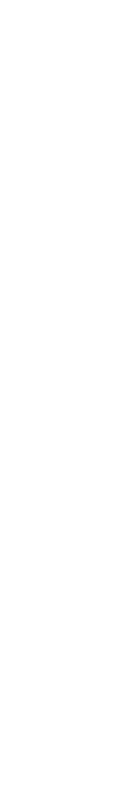 さあ、乾杯！