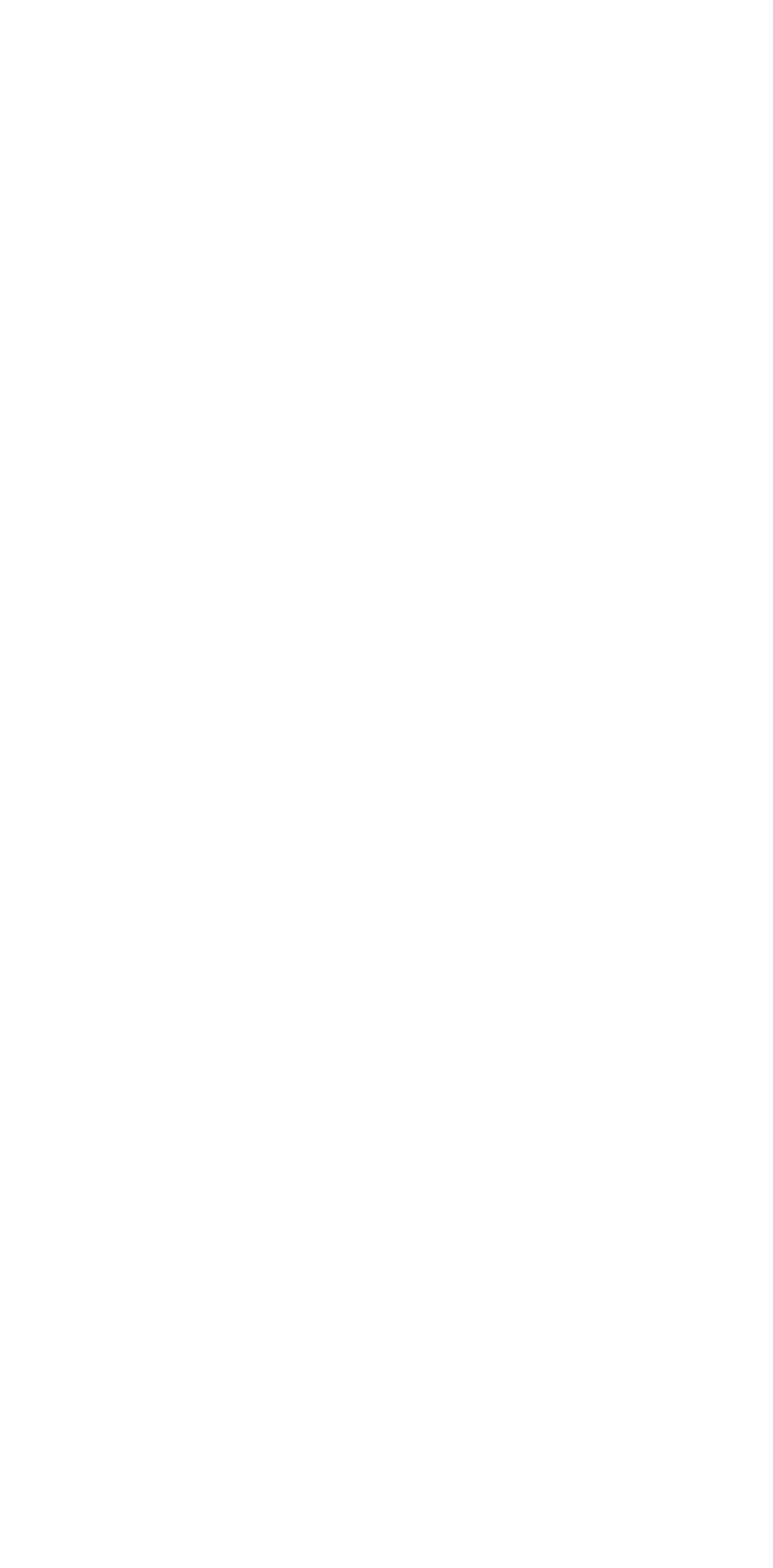 実施期間