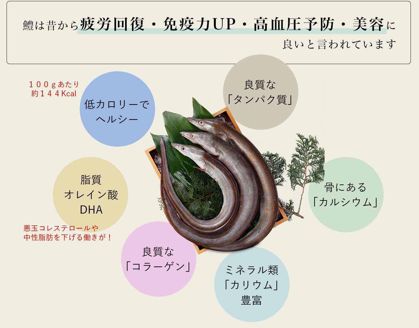 疲労回復・免疫力UP・高血圧予防・美容に!