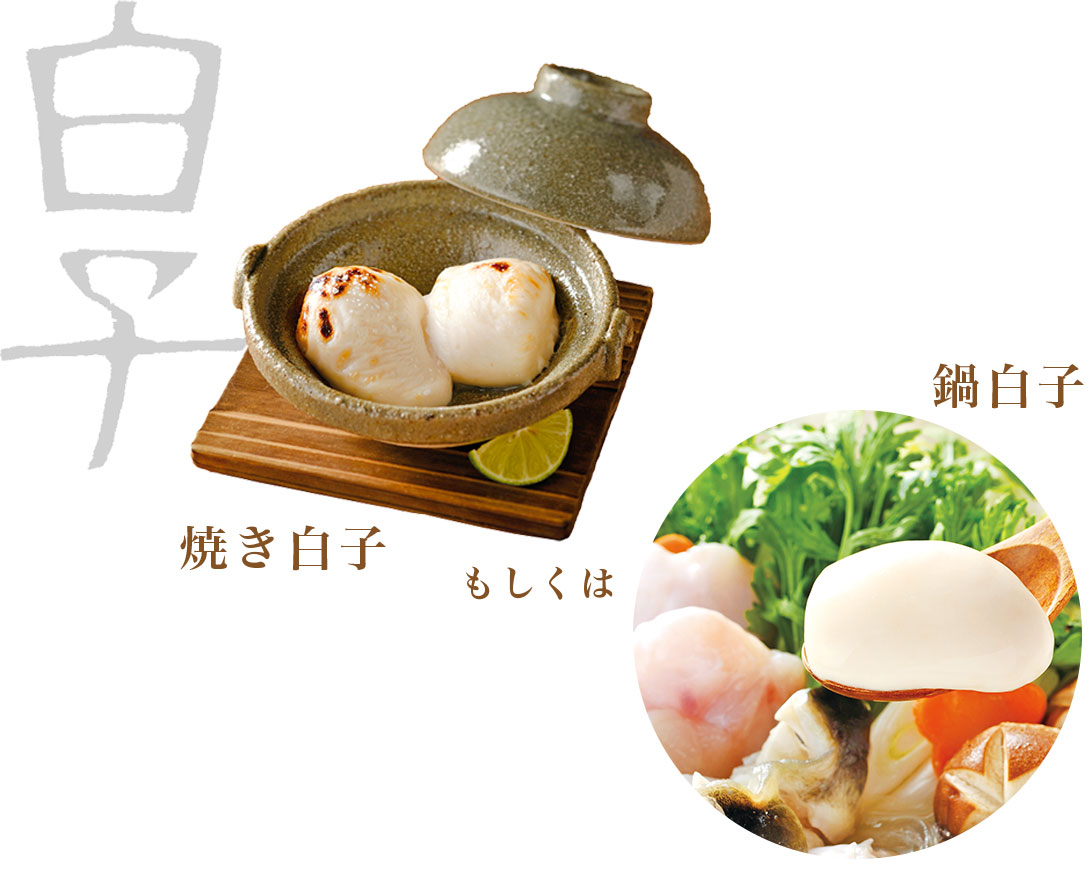 白子